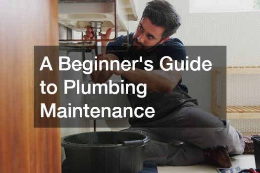 A Beginners Guide to Plumbing Maintenance